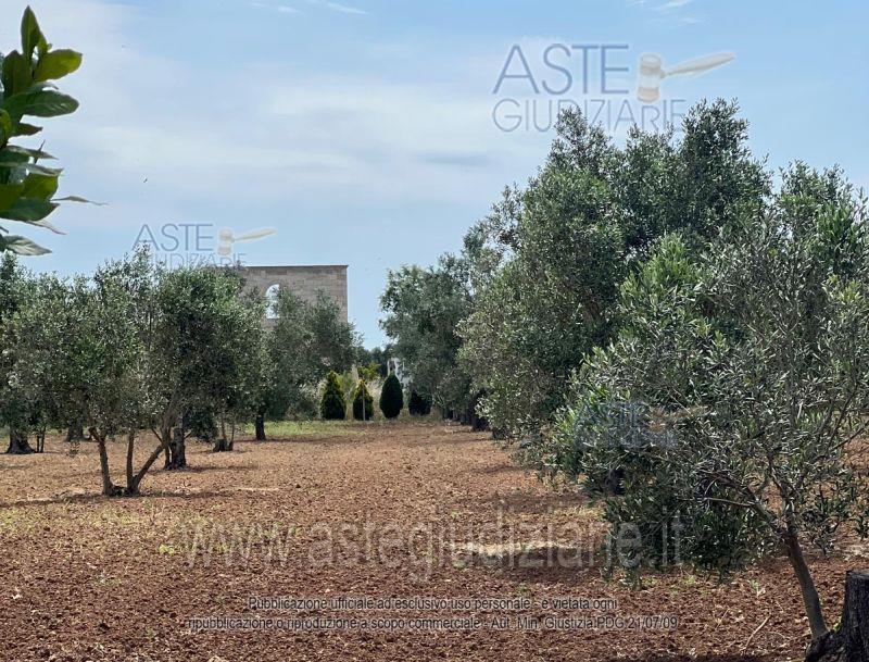 Photo: Altra categoria in Nardò (LE)