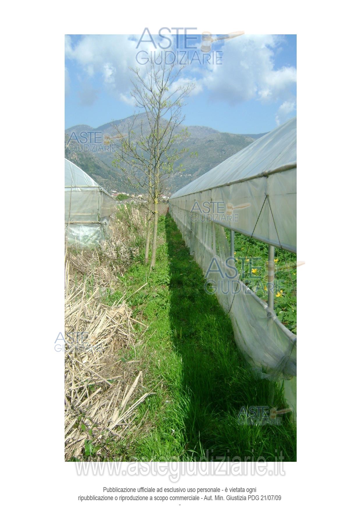 Photo: Altra categoria in Fondi (LT)