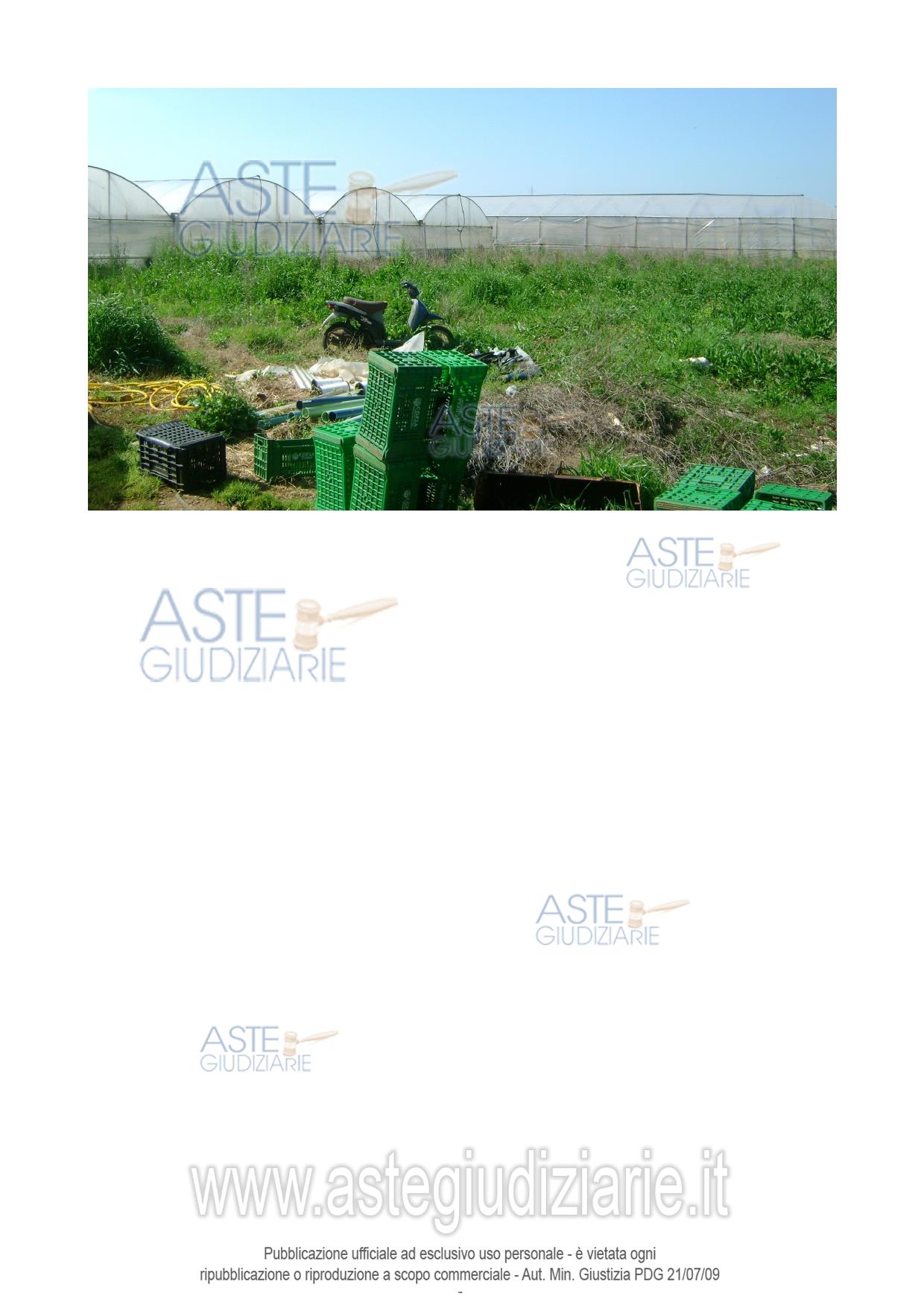 Photo: Altra categoria in Fondi (LT)