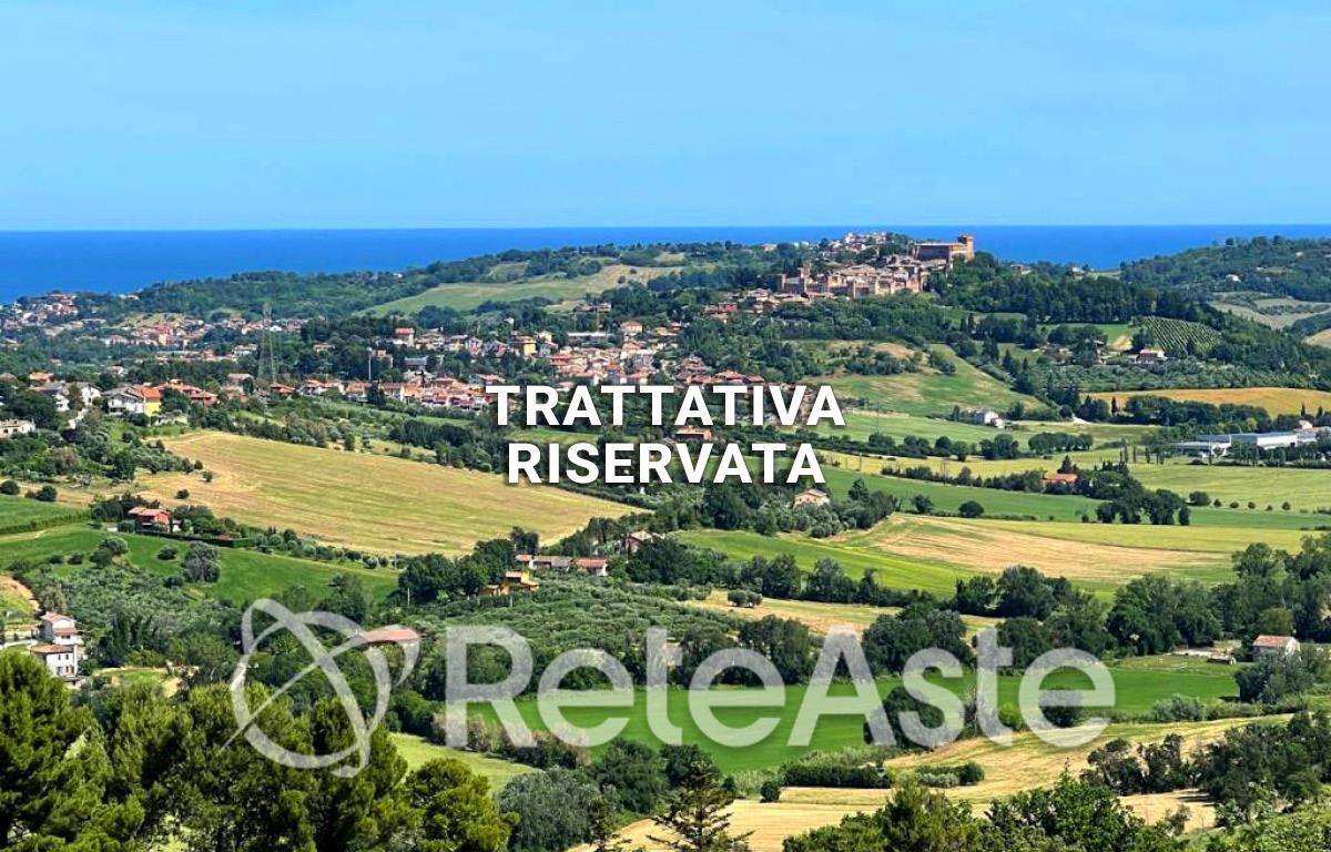 Foto del lotto: Altra categoria a Tavullia