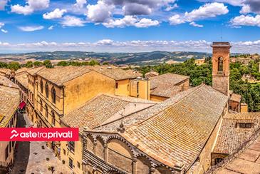 Vivere a Volterra - Aste tra privati