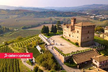 Asta benefica a base di Barolo - Aste tra privati