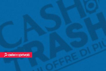L'importanza delle aste: in tv “Cash or Trash” ne svela il potenziale nascosto - Aste tra privati