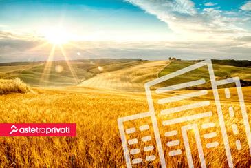 Magazzini in vendita in Toscana  - Aste tra privati