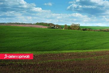 Vuoi vendere un terreno? Ecco cosa ti serve - Aste tra privati