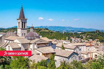 Webinar AdS: come vendere i beni dei soggetti tutelati - Aste tra privati