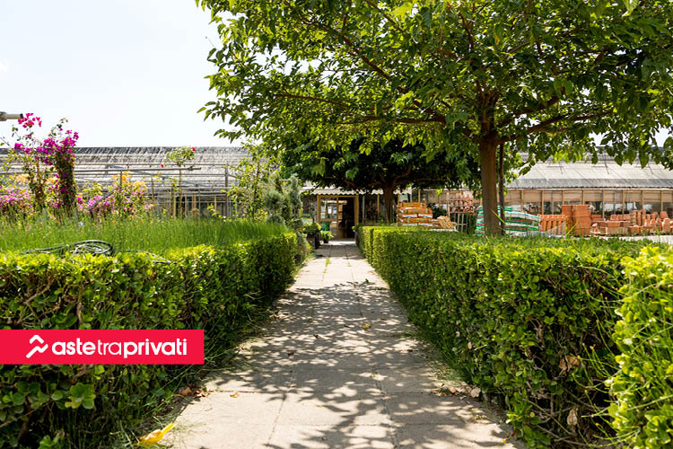 Azienda di floricoltura in vendita a Livorno - News di Aste tra privati