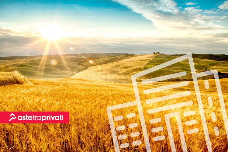 Magazzini in vendita in Toscana  - News di Aste tra privati