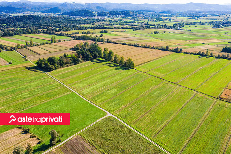 Prelazione agraria: cos’è, chi ne ha diritto e come funziona - News di Aste tra privati