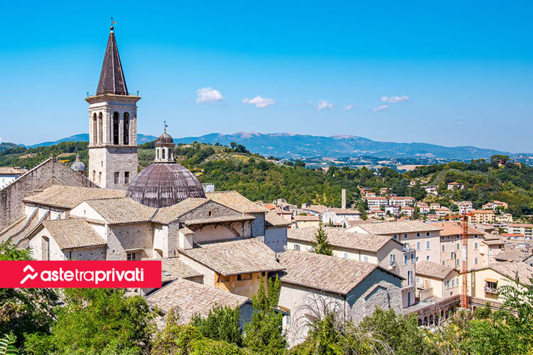 Webinar AdS: come vendere i beni dei soggetti tutelati - News di Aste tra privati