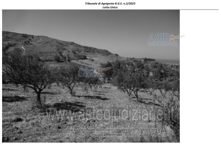 Fotografia del bene