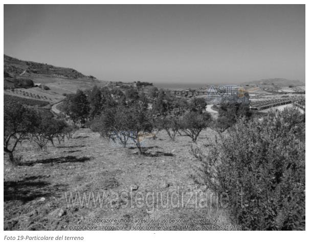 Fotografia del bene