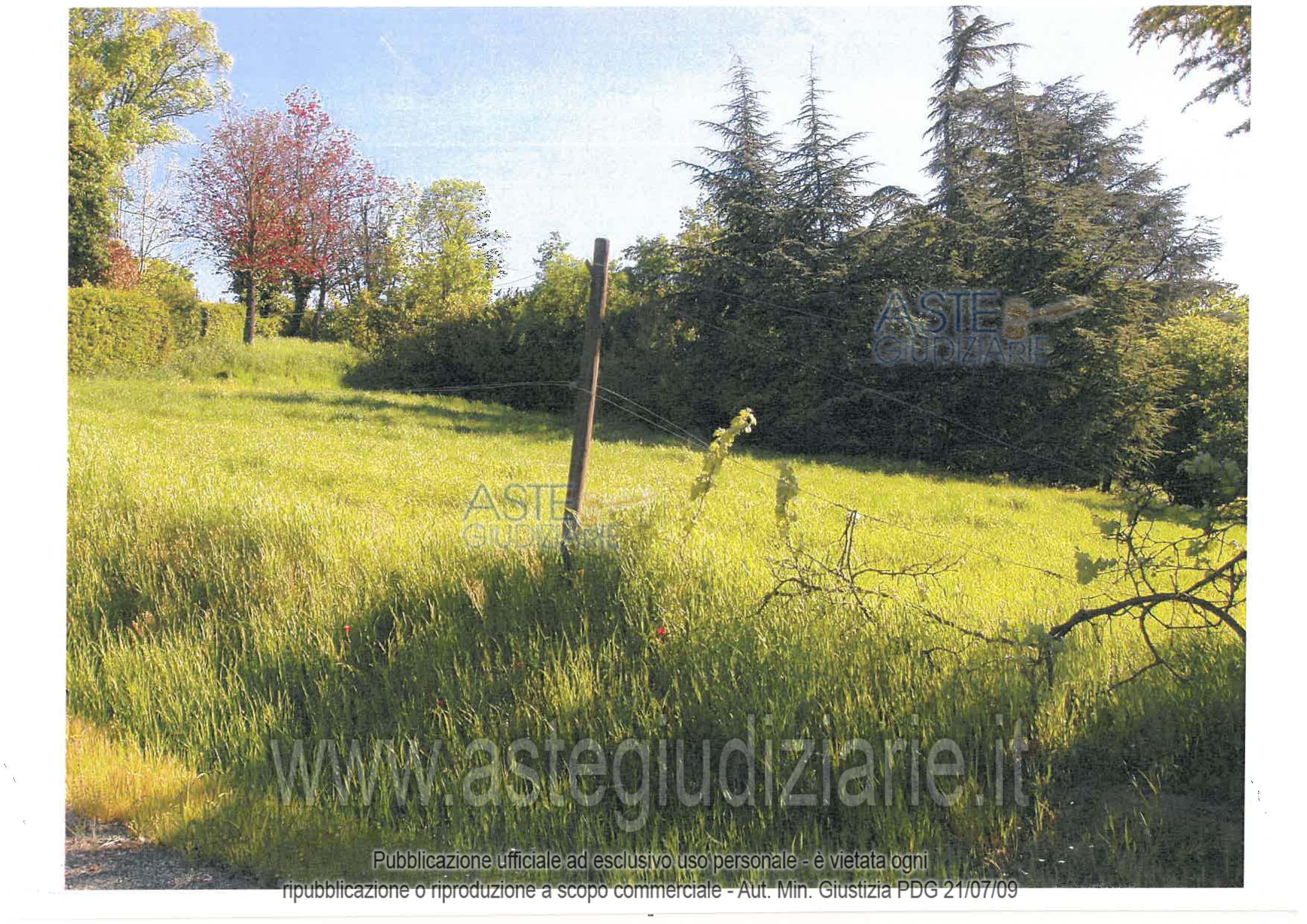 Fotografia del bene