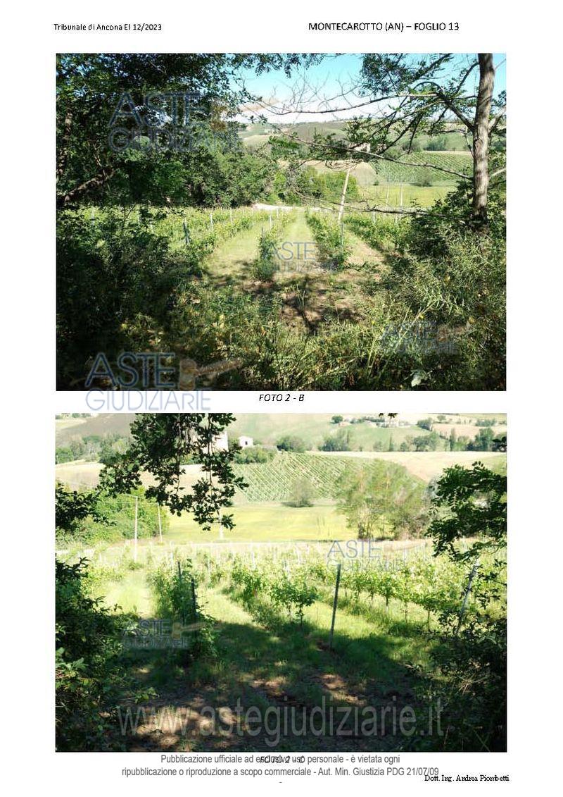 Fotografia del bene