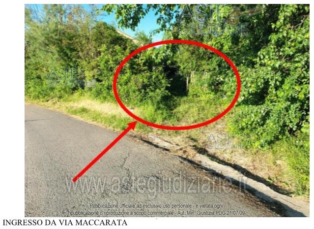 Fotografia del bene