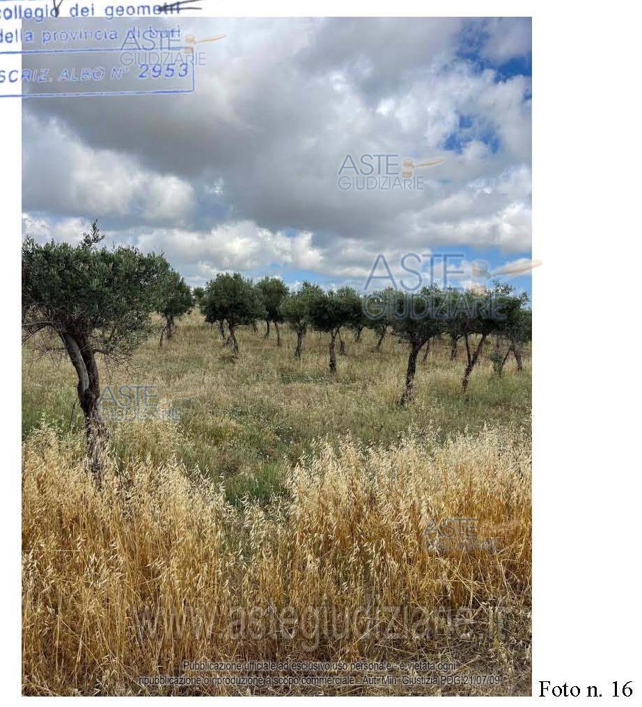 Fotografia del bene