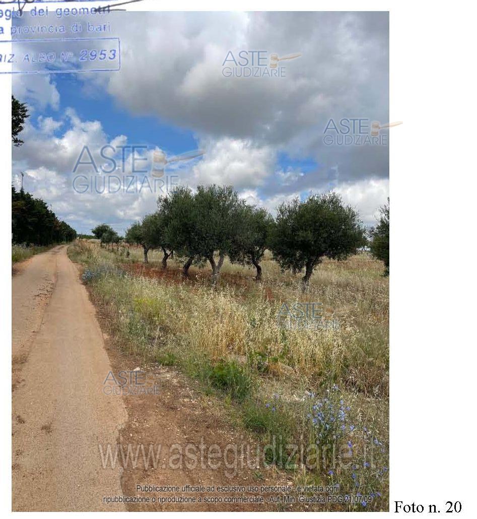 Fotografia del bene