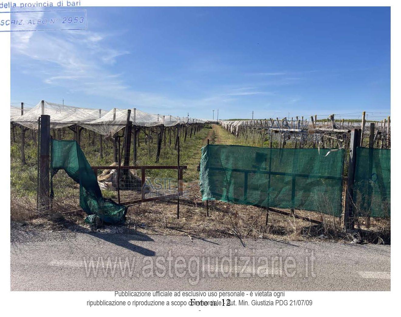 Fotografia del bene