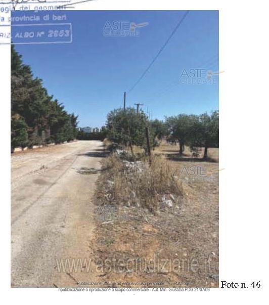 Fotografia del bene