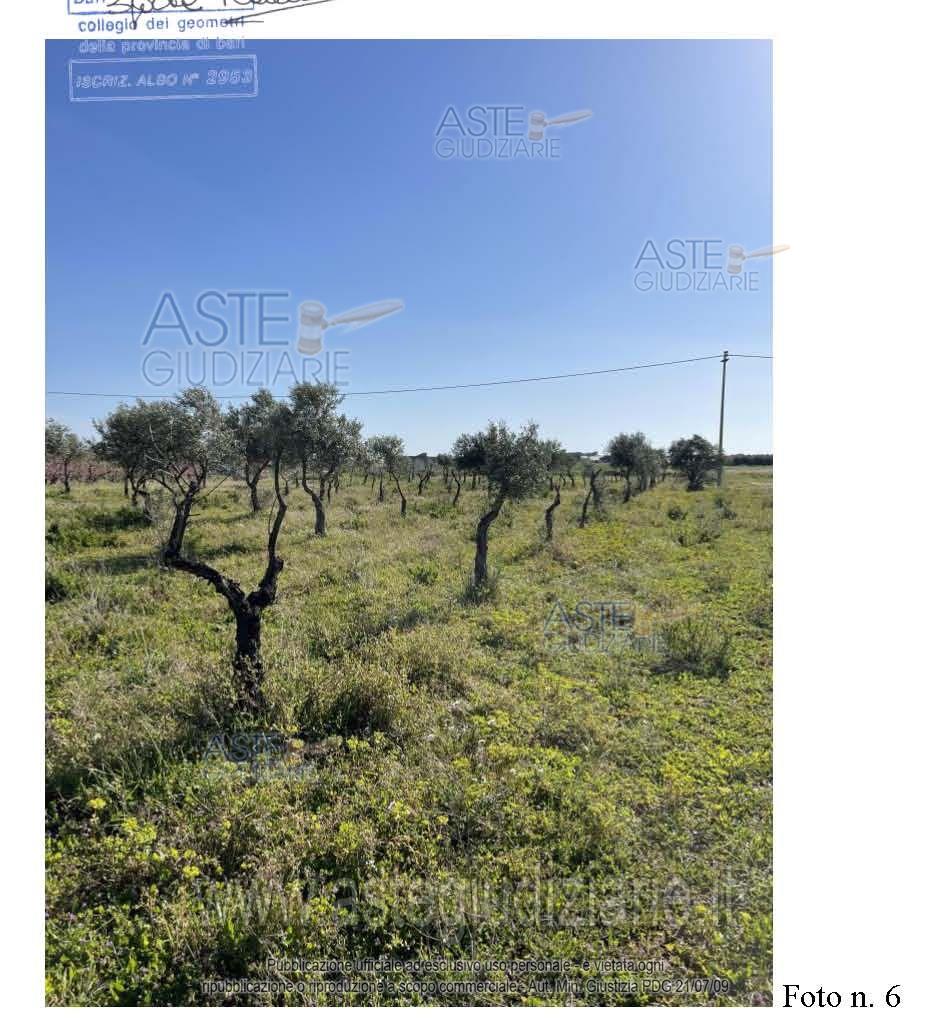 Fotografia del bene
