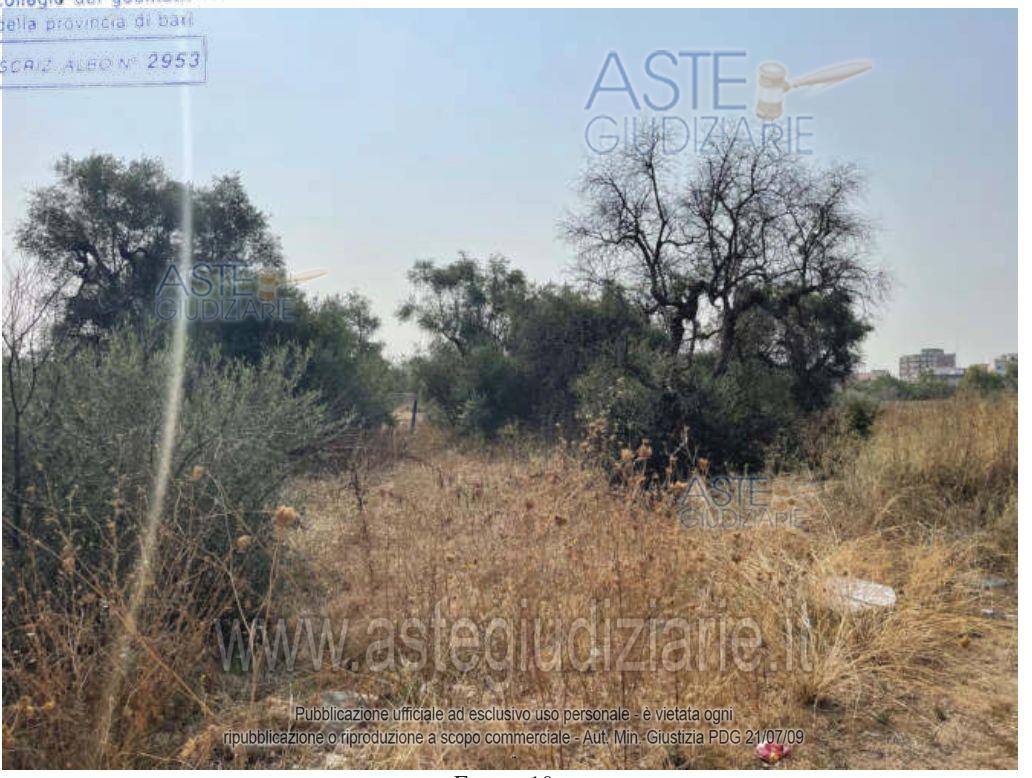 Fotografia del bene