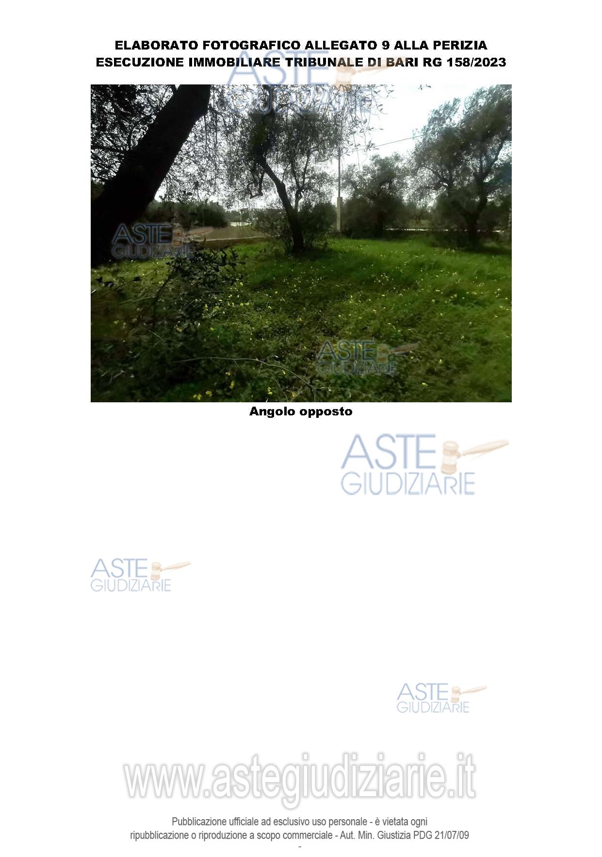 Fotografia del bene