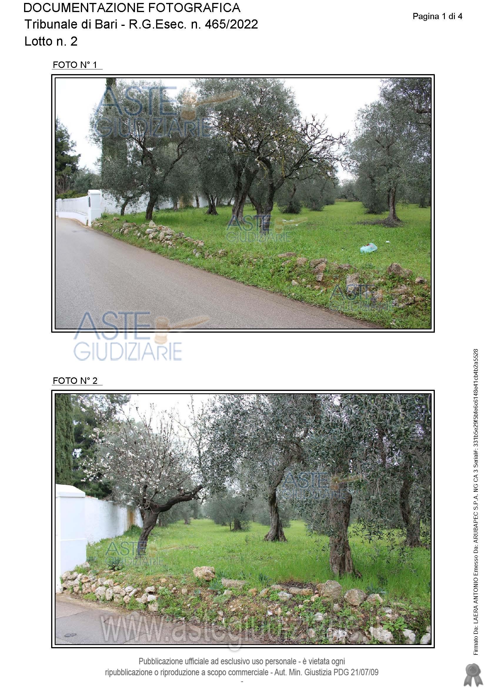 Fotografia del bene