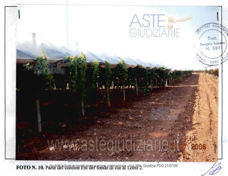 Fotografia del bene