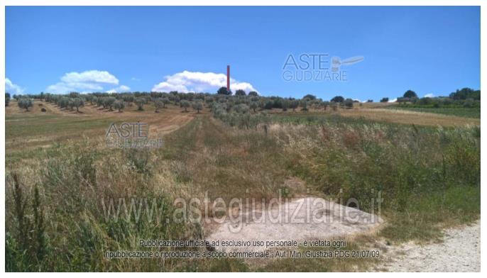 Fotografia del bene