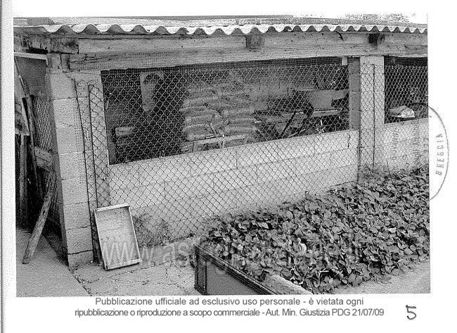 Fotografia del bene