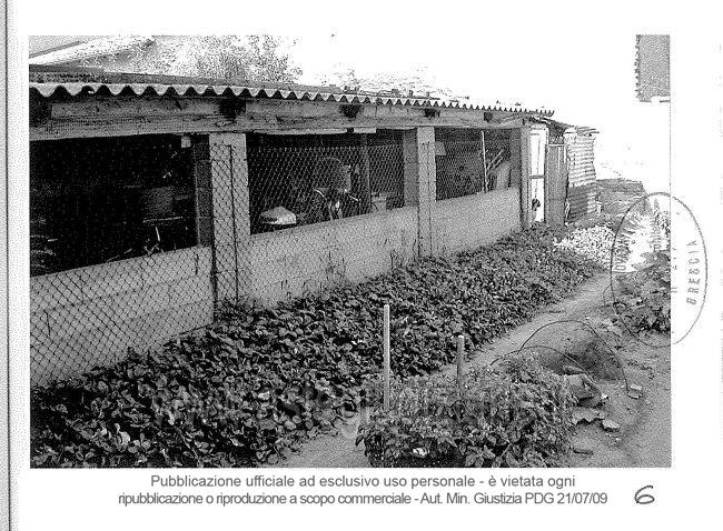 Fotografia del bene