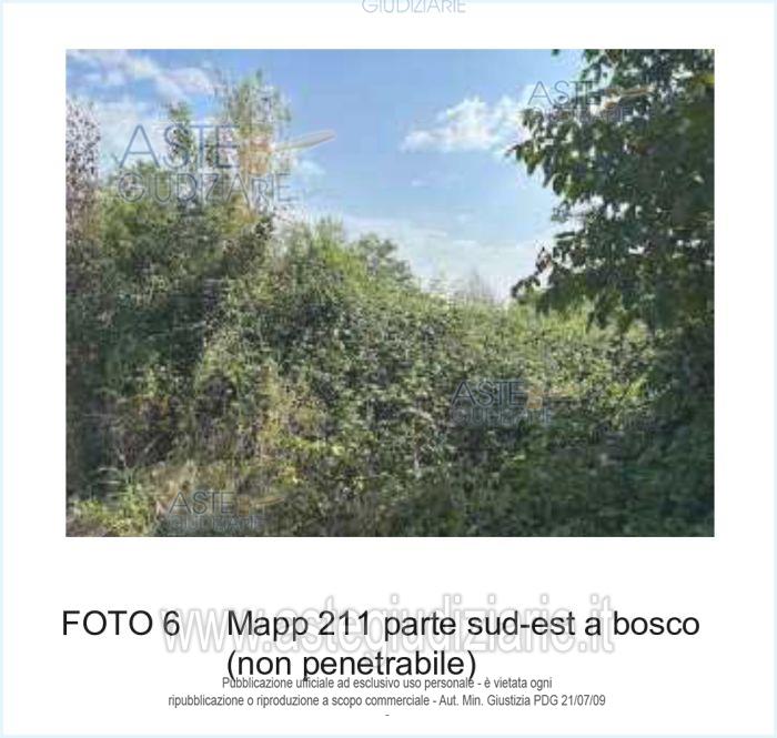 Fotografia del bene