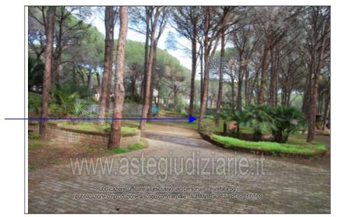 Fotografia del bene