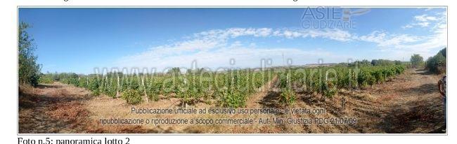 Fotografia del bene
