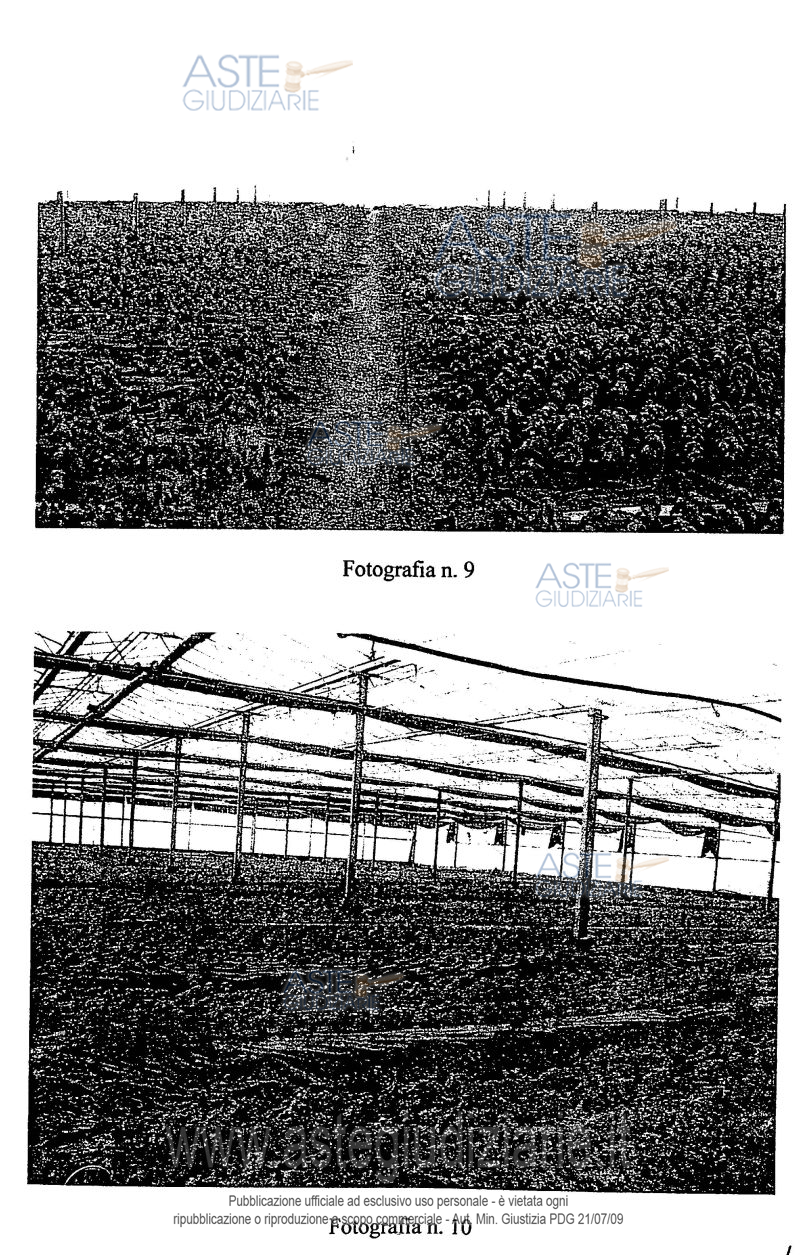 Fotografia del bene
