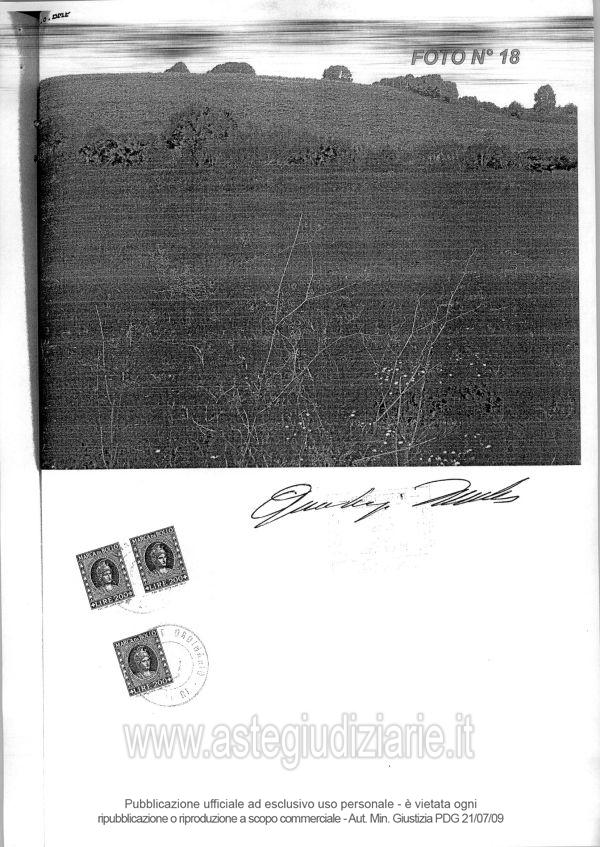Fotografia del bene