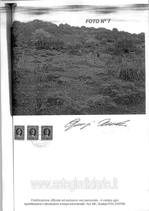 Fotografia del bene