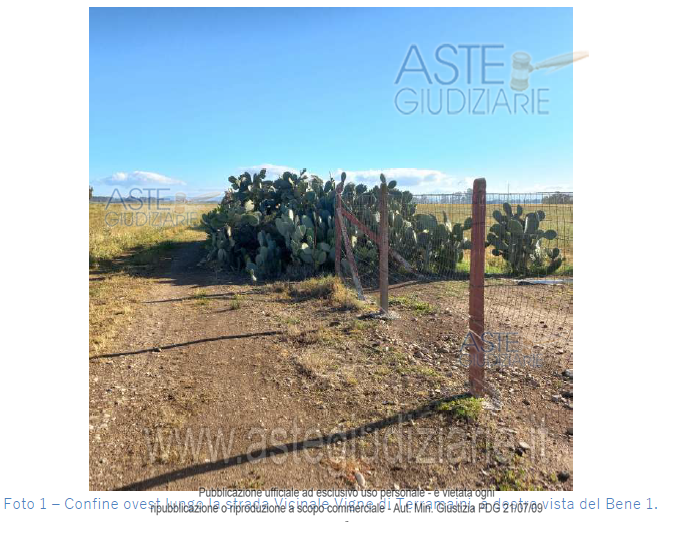 Fotografia del bene