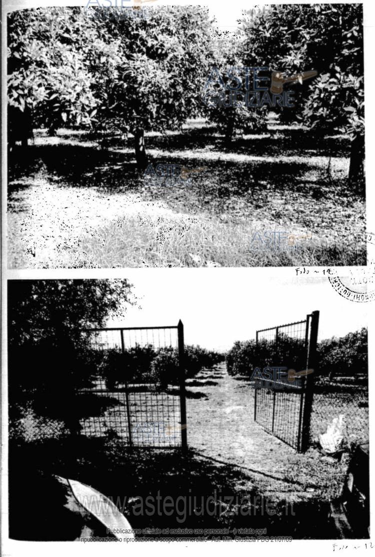 Fotografia del bene