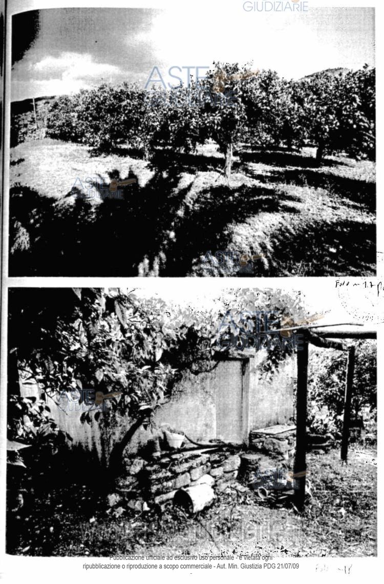 Fotografia del bene