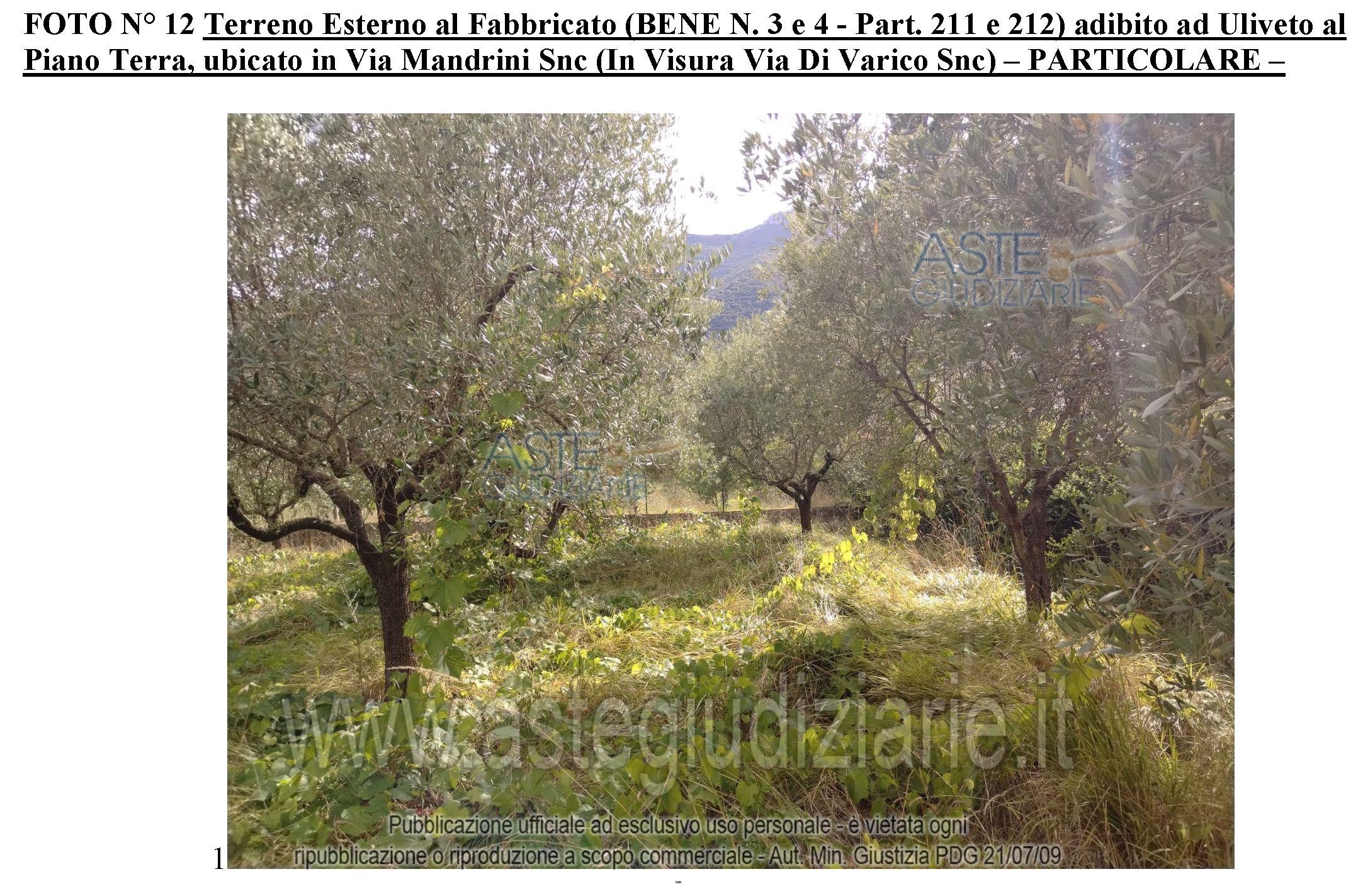 Fotografia del bene