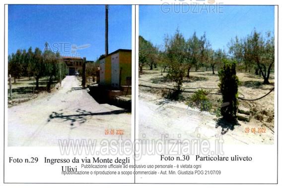 Fotografia del bene