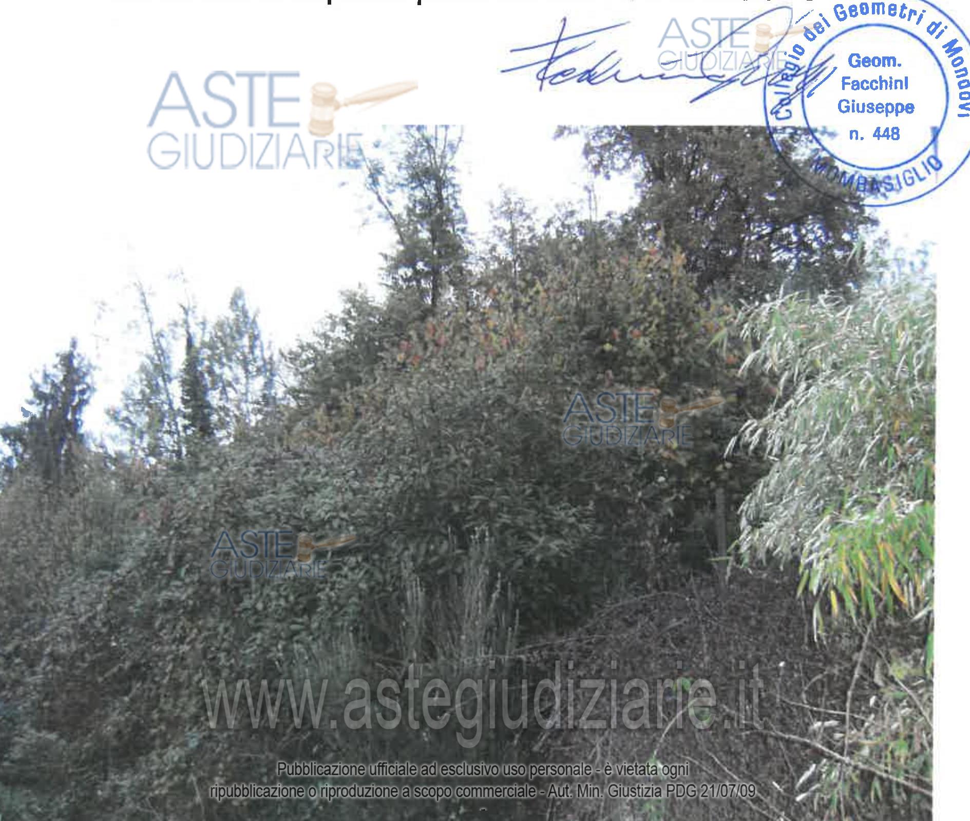 Fotografia del bene