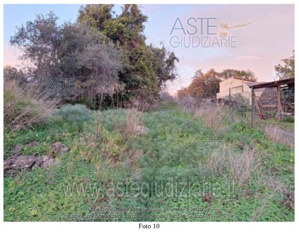 Fotografia del bene