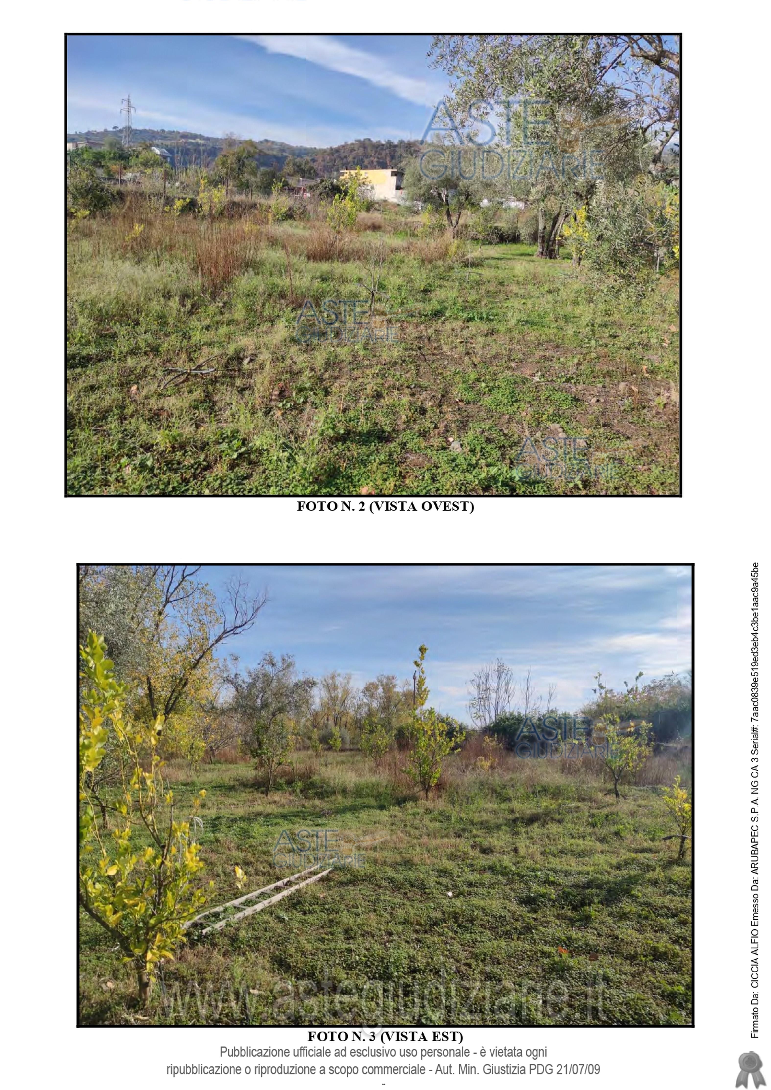 Fotografia del bene
