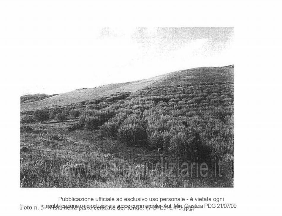 Fotografia del bene