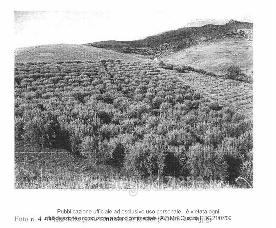 Fotografia del bene
