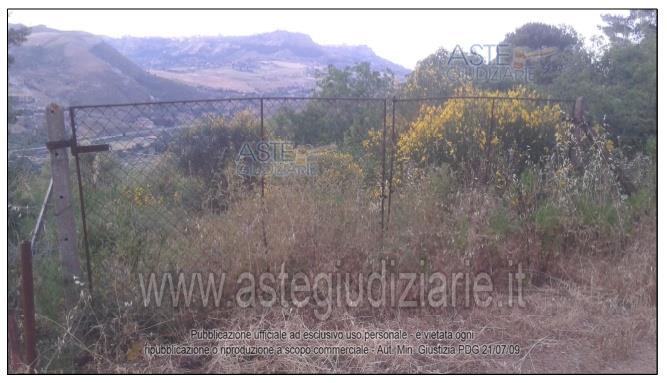 Fotografia del bene