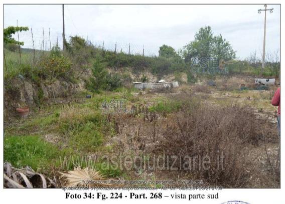 Fotografia del bene