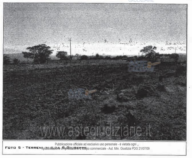 Fotografia del bene